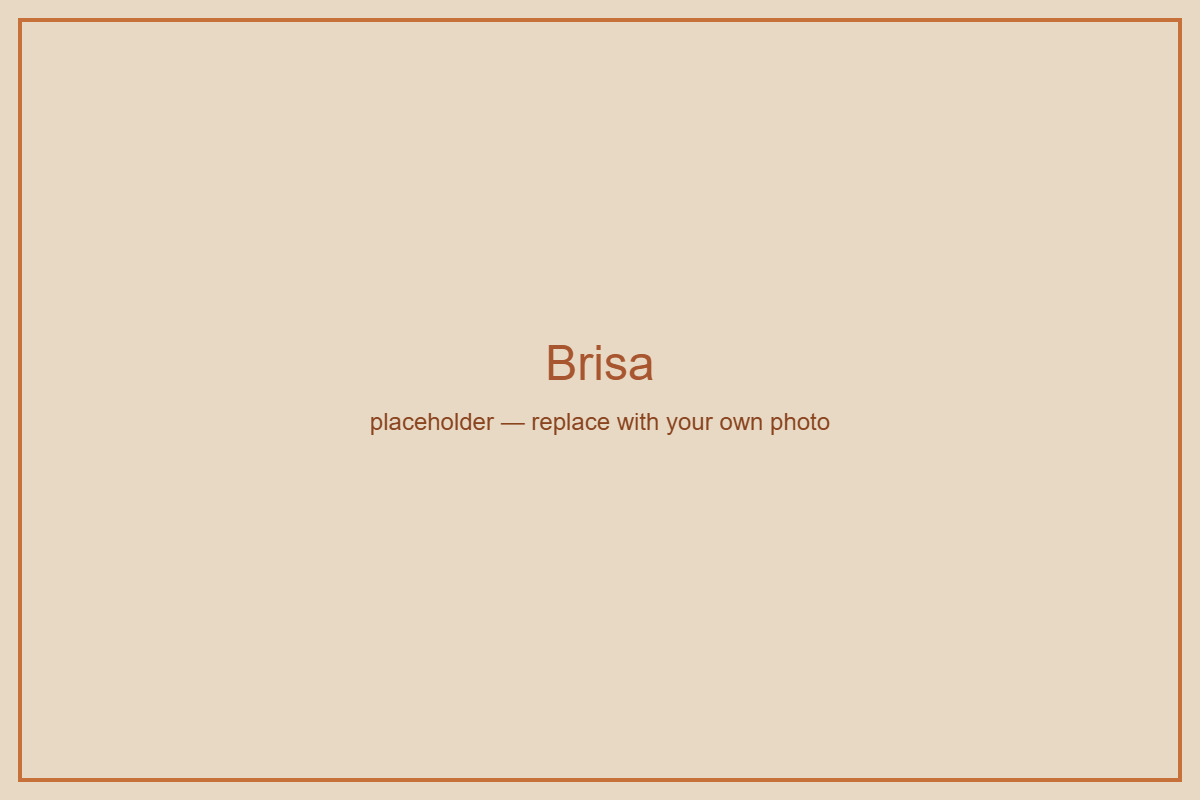 Brisa suite