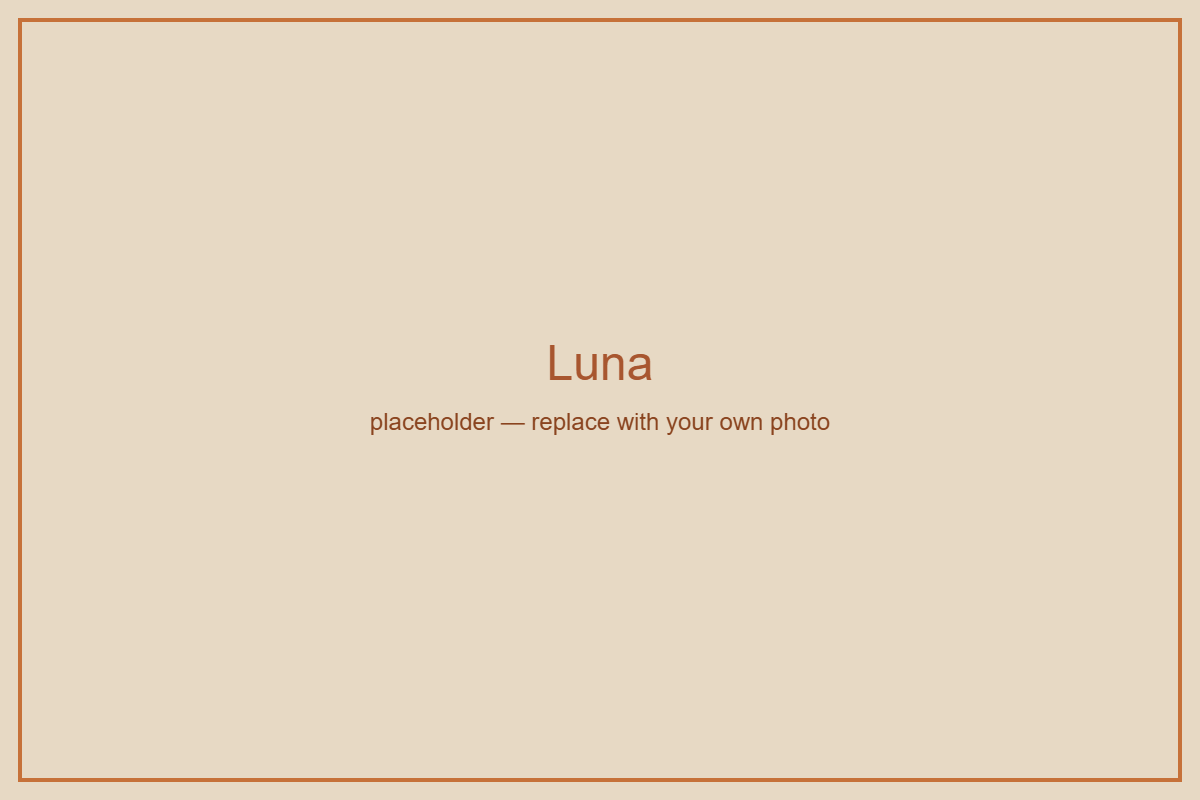 Luna suite