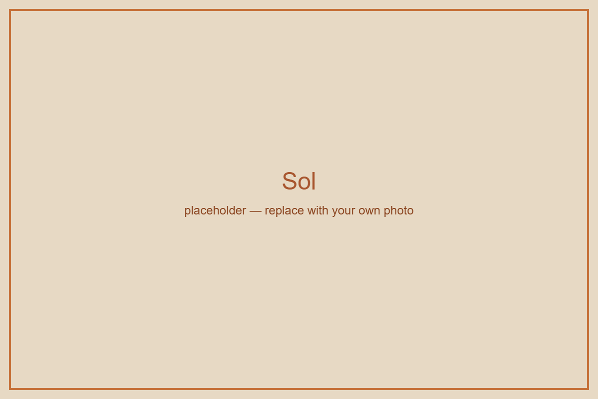 Sol suite